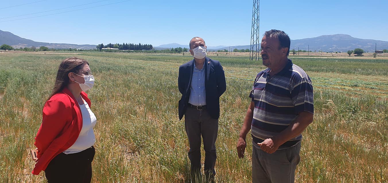 Bir 1 kişi, ayakta ve çim görseli olabilir