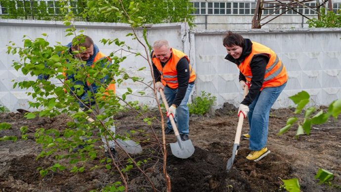В Магадане активисты «Единой России» высадили деревья и организовали субботники